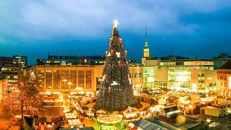 Giant Christmas tree in Germany Xmas Market, Tall Christmas Trees, Dortmund Germany, Christmas In Europe, Days To Christmas, Large Christmas Tree, Classic Lighting, Winter Wonderland Christmas, Traditional Christmas Tree