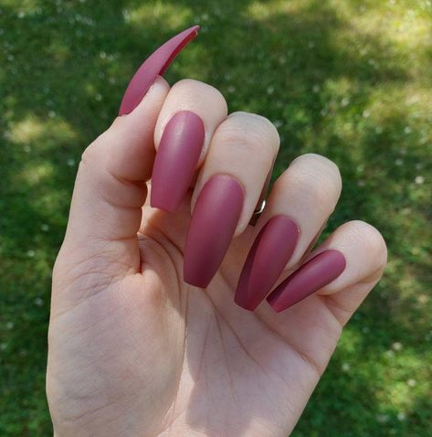 Berry nails are PERFECT for fall 💕🍂 #pressonnails #berrynails #coffinnails #autumnnails #fallnails Pink Nails Coffin, Berry Nails, Matte Pink Nails, Sally Hansen Nail Polish, Pink Coffin, Impress Nails, Sally Hansen Nails, Manicure Colors, Nails Matte