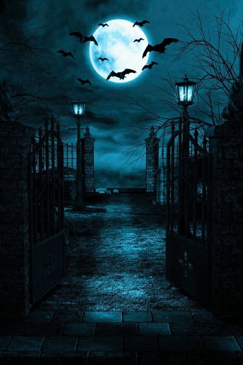 Scary Night Aesthetic, Dark Moon Background, Black And White Halloween Aesthetic, Gothic Aesthetic Wallpaper, Graveyard Pictures, Gothic Backgrounds, Goth Background, Bat Aesthetic, Graveyard Tattoo