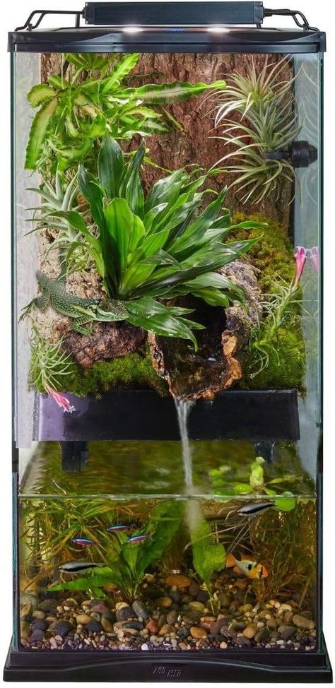 Amazon.com: Zoo Med Paludarium - 12" x 12" x 24" - 4 gal, Black : Beauty & Personal Care Paludarium Vivarium, Paludarium Ideas, Frog Vivarium, Doc Martens Aesthetic, Diy Fish Tank, Reptile Room, Vivarium, Doc Martens, Black Beauty