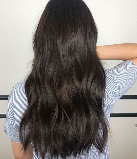 Warm brown black #avedamadison Warm Black Hair Color, Warm Black Hair, Rambut Brunette, Balayage Blonde, Black Hair Color, Brown Blonde Hair, Penteado Cabelo Curto, Brown Hair With Highlights, Skateboarder