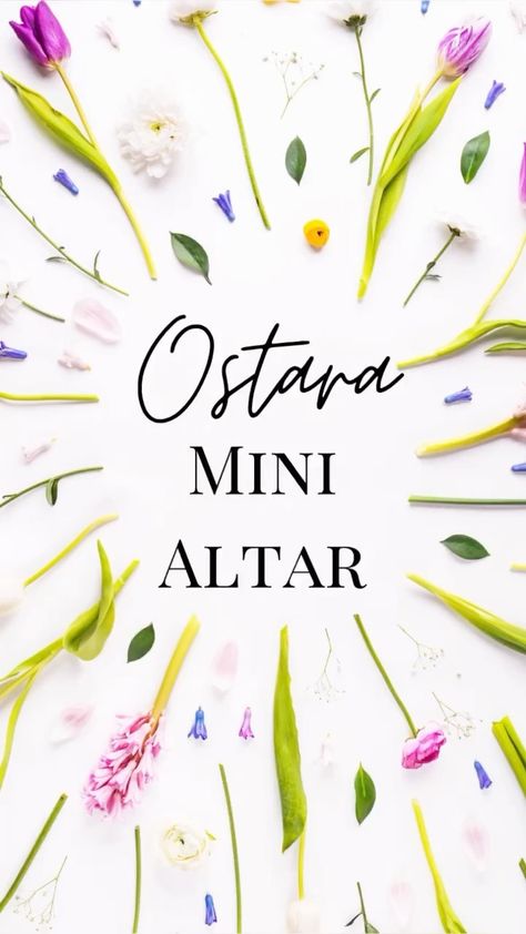 Ostara Mini Altar, Ostara Altar Ideas, Ostara Alter, Ostara Altar, Mini Altar, Coven, Link In Bio, On Instagram, Instagram