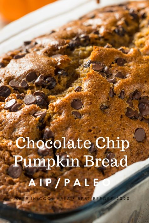 AIP/Paleo chocolate chip pumpkin bread delicious seasonal bread Gf Pumpkin Bread, Pumpkin Bread Chocolate, Aip Pumpkin, Autoimmune Diet Recipes, Aip Diet Recipes, Chocolate Pumpkin Bread, Paleo Pumpkin Bread, Best Pumpkin Bread Recipe, Autoimmune Recipes