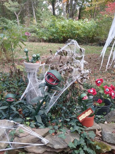 2018 - haunted garden. Haunted Greenhouse Halloween, Backyard Haunted Trail Ideas, Spooky Garden Ideas, Haunted Garden Ideas, Spooky Garden Halloween, Haunted Garden Halloween, Halloween Greenhouse, Haunted Greenhouse, Haunted Forest Ideas