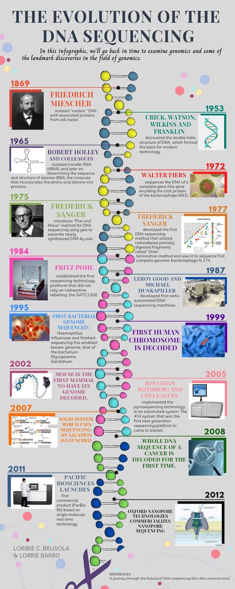 Cell Infographic, Dna Infographic, Body Knowledge, Dna Sequencing, Campbell Biology, Cell Theory, Genome Sequencing, Infographic Inspiration, Biology Facts