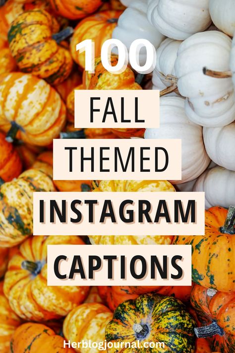 list of 100 fall Instagram captions for 2023 Fall Quotes For Instagram Captions, Captions For Fall Pictures, Fall Instagram Captions Pumpkins, Cute Fall Captions For Instagram, Fall Photo Dump Captions, Fall Photo Captions, Fall Ig Captions, Fall Quotes Instagram, Autumn Quotes Instagram