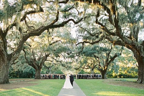 South Carolina Wedding Venues, Carolina Wedding Venues, Wedding Venues South Carolina, Charleston South Carolina Wedding, Charleston Wedding Venues, Charleston Sc Wedding, South Carolina Beaches, Wedding Venues Beach, South Carolina Wedding