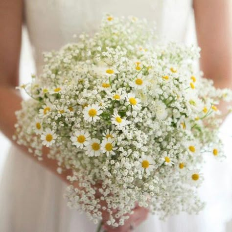 Daisy Bouquet Wedding, Daffodil Wedding, Wedding Bridesmaid Bouquets, Elegant Bridal Bouquets, Bridal Bouquet Summer, Simple Wedding Bouquets, Natural Bouquet, Summer Wedding Bouquets, Rose Bridal Bouquet