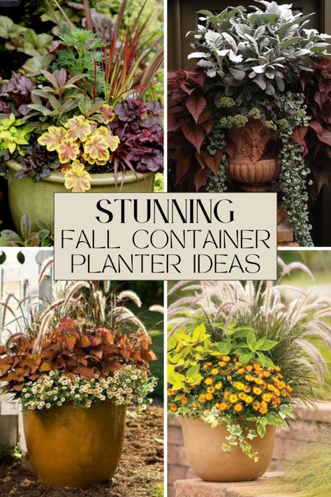 How to create attractive fall planters to showcase the colors of autumn Fall Garden Pots, Fall Planter Arrangements Outdoor, Fall Garden Container Ideas, Fall Patio Planter Ideas, Fall Container Gardens Front Porches, Fall Plantar Ideas, Fall Plant Container Ideas, Outdoor Fall Container Ideas, Outdoor Fall Flowers Planters