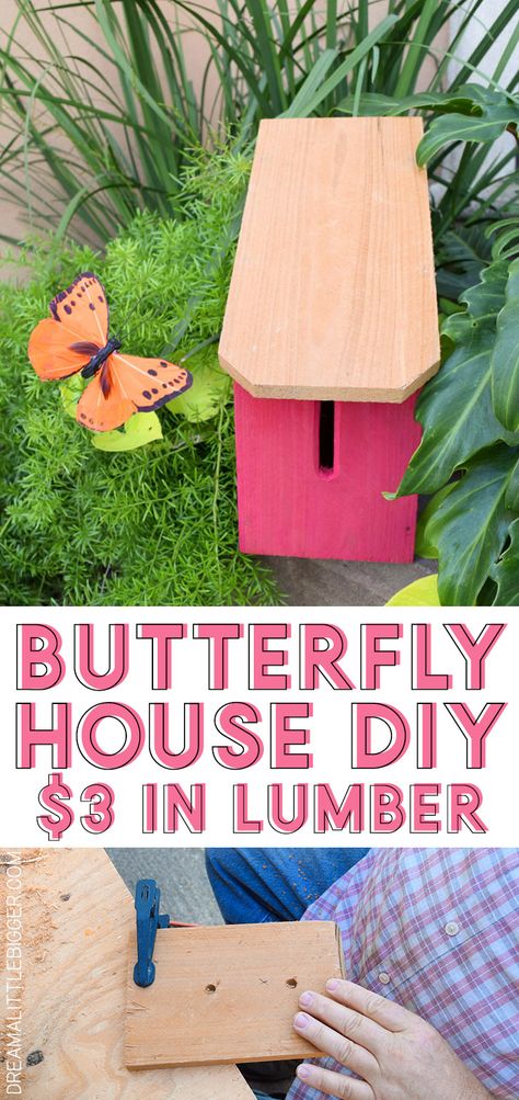 Diy Butterfly House, Butterfly Feeders, Butterfly Garden Plants, Butterfly Feeder, Butterfly Garden Design, Butterfly Roof, Butterfly Habitat, Bird Houses Ideas Diy, Butterfly Houses