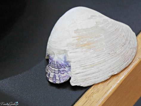 Quahog Shell Crafts, Shell Jewelry Ideas, Seashell Carving, Beach 2024, Shell Carving, Beach Week, Idle Hands, Bead Making, Jewelry Making Earrings