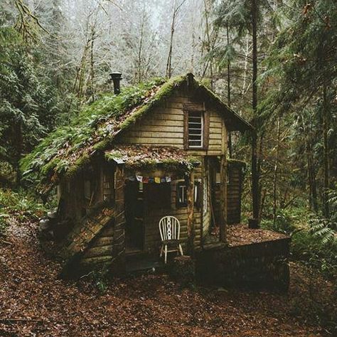 La casita del Bosque Random Idea, Tiny House Nation, Forest Cabin, Cottage Cabin, Small Cabin, Cabin In The Woods, Cabins And Cottages, Cabin Life, Forest House