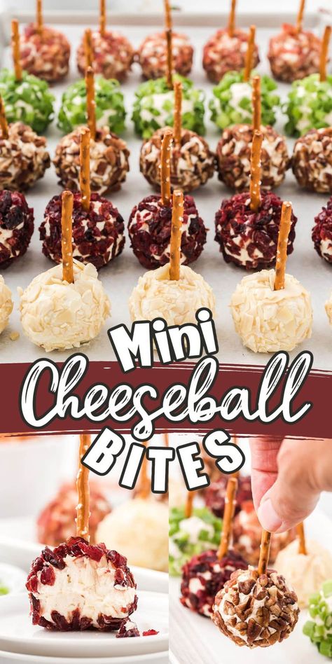 Cheeseball Bites, Cheese Ball Bites, Christmas Recipes Appetizers, Fingerfood Party, Appetizers Easy Finger Food, Finger Foods Easy, Cheese Ball Recipes, Charcuterie Recipes, Appetizer Bites