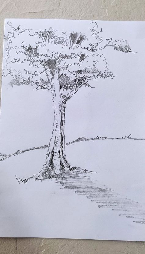 Sketches Of Trees Pencil, Tree Drawing With Pencil, Plants Pencil Drawing, A Tree Drawing Easy, Tree Hatching Drawing, Drawing Trees Pencil Sketch, Easy Tree Sketch, Detailed Tree Drawing, Anime Tree Drawing