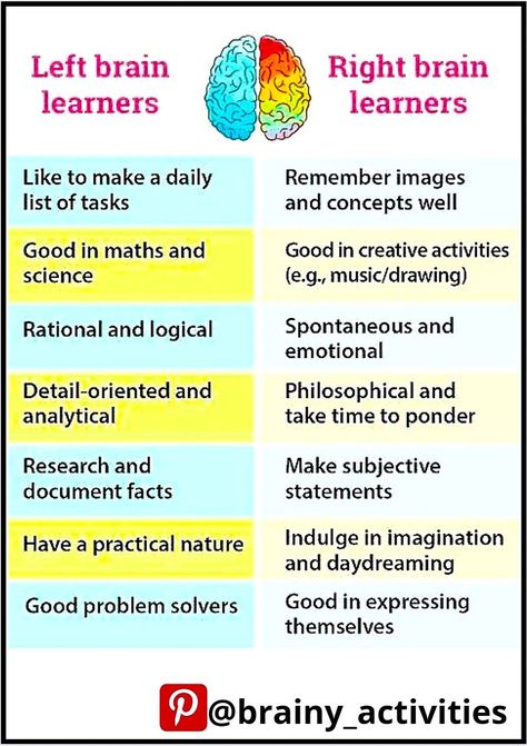 Left Brain and Right Brain Learners Activity For Nursery Kids, Right Brain Exercises, Right Brain Activities, Activity For Nursery, Left Vs Right Brain, Left Brain Vs Right Brain, Hope Squad, Left Right Brain, Brain Hemispheres