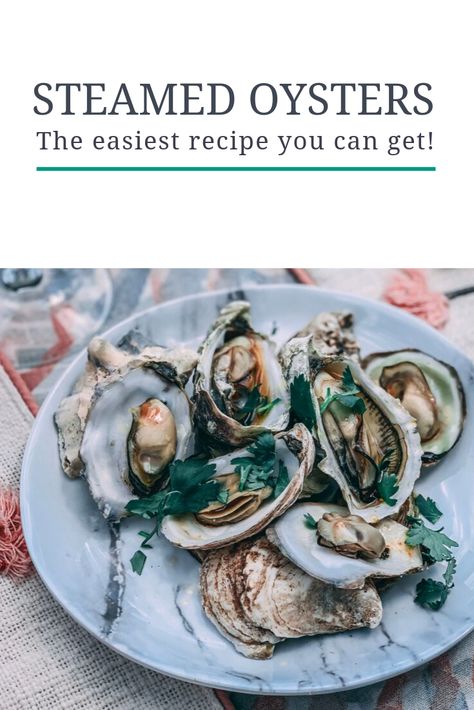 Steamed Oysters On Stove, How To Cook Oysters In The Shell, Steamed Oyster Recipes, Boiled Oysters Recipe, Steam Oysters, Oysters At Home, Steamed Oysters, Cooked Oysters, Oysters Rockefeller