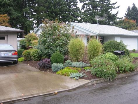 Low-maintenance pacific northwest landscape Low Maintenance Landscape Ideas, Landscape Front Yard, Low Maintenance Landscape, Portland Garden, Low Maintenance Landscaping Front Yard, Northwest Landscaping, Succulent Landscape Design, Succulent Landscaping, Front Yard Design