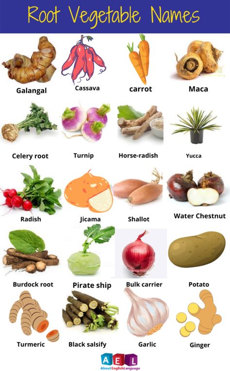 Underground Vegetables, Green Vegetables Name, Tlm Ideas, Plants Names, Asian Vegetables, Root Vegetable, Green Veggies, Winter Vegetables, English Online