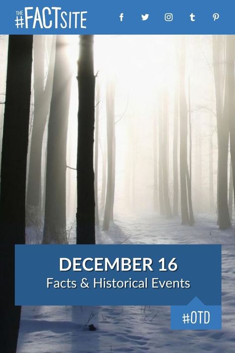 Did you know that on this day, December 16, 1773, the Boston Tea Party protest occurred? Today is known as Day Of Reconciliation, and was the day Krysten Ritter was born. Does December 16 have a special meaning for you? If so, you simply cannot miss out on the most interesting events that ever happened on this unique day in history. #TheFactSite #OnThisDay #December16 #TodayInHistory #TodayFacts #OTD #ChocolateCoveredAnythingDay Write Every Day, Fact Of The Day, Learn Facts, Today In History, Notable Quotes, Memorable Quotes, Song One, Days Of The Year, Space Flight