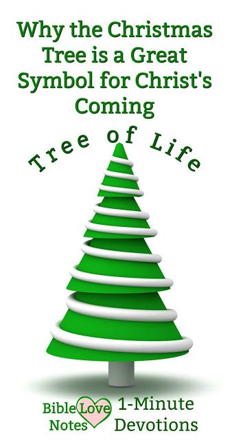 Christmas Tree Bible Lesson, Christmas Tree Sunday School Lesson, Christmas Tree Symbolism, Meaning Of Christmas Tree, Christmas Tree Meaning, Christmas Tree Story, Tree Meanings, Christmas Tree Quotes, Christmas Sunday