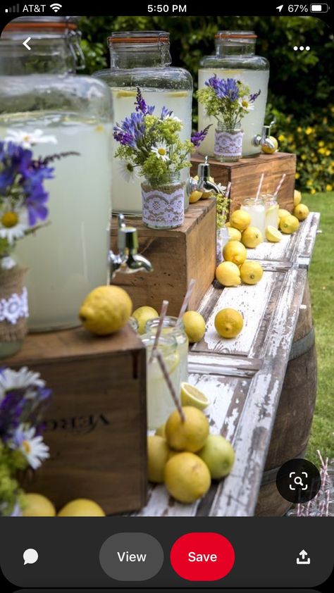 Lemonade Bar, Wedding Drink Station, Deco Champetre, Rustic Romance, Drink Station, Wedding Drink, Lemonade Stand, Backyard Party, Wedding Bar