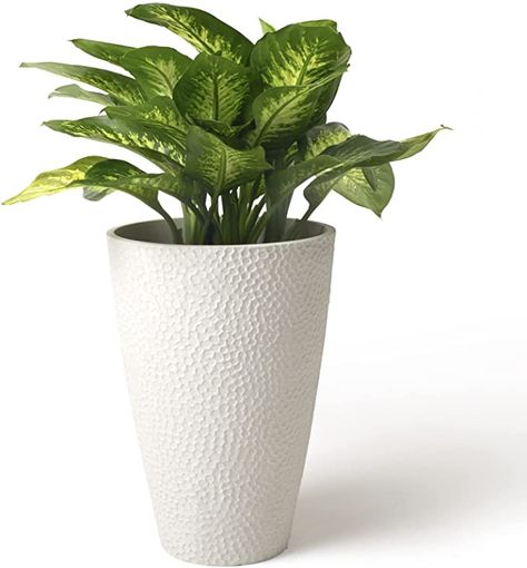 Tall White Planter, Indoor Tree, Tree Planters, Metal Planter Boxes, Large Flower Pots, Indoor Trees, Square Planters, Tall Planters, Garden Pottery