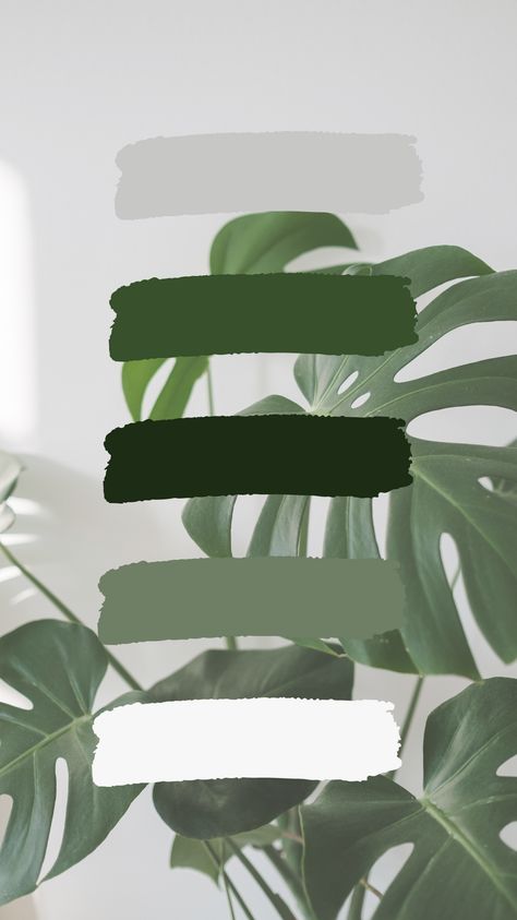 Plant Store Color Palette, Plant Colour Palette, Jungle Green Color Palette, Jungle Color Scheme, Jungle Color Palette, Spa Color Palette, Plant Color Palette, Colors Moodboard, Color Branding