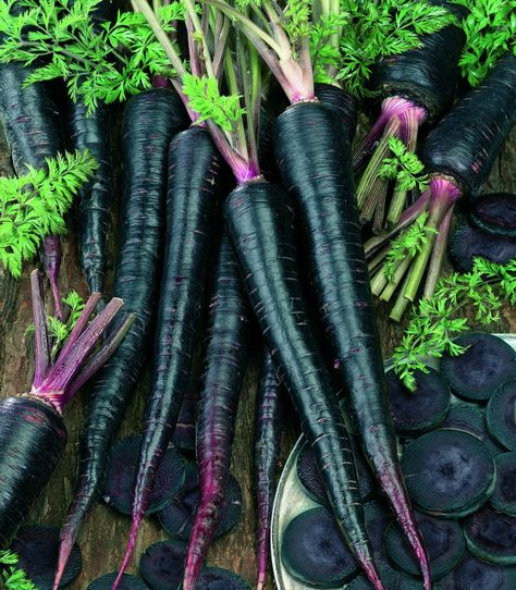 Black Carrot, Goth Garden, Purple Carrot, Gothic Garden, Daucus Carota, Garden Vegetable, Carrot Seeds, Black Garden, Deep Purple Color