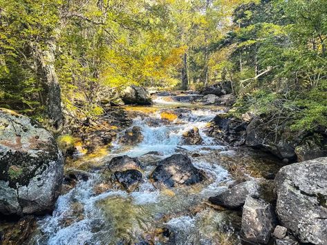 Let´s talk about autumn in Spain and the most magical destinations to enjoy the fall foliage across the Iberian Peninsula. Spain Destinations, Iberian Peninsula, Spain Travel, Fall Foliage, Travel Itinerary, Beautiful Photo, The Fall, Talk About, Travel Inspiration