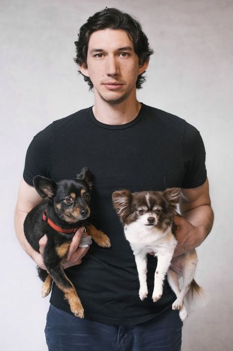 Adam Driver, Jessica Biel Get Cozy With Two Cute Pooches (Photos) | Hollywood Reporter Kylo Ren Adam Driver, Hayden Christensen, Chris Pine, Jessica Biel, Adam Driver, Evan Peters, Kylo Ren, Ian Somerhalder, Benedict Cumberbatch