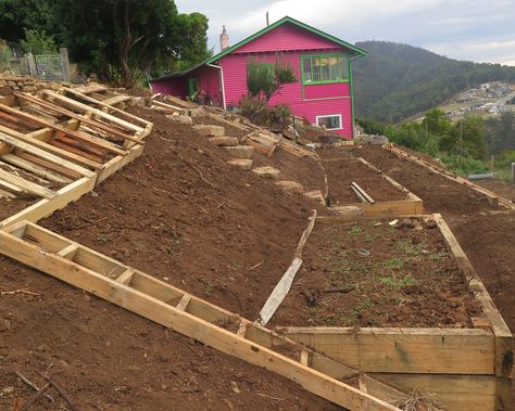 How To Landscape A Steep Slope | Good Life Permaculture Sloped Property Landscaping, Steep Hill Landscaping, Backyard Hill Landscaping, Steep Gardens, Slope Design, Sloped Backyard Landscaping, Landscaping A Slope, Landscaping On A Hill, Sloped Yard