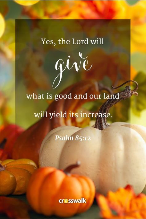 Thanksgiving Religious, Fall Season Bible Verse, Scripture For Fall, Autumn Bible Verses, Thanksgiving Bible Qoutes, Bible Verse Fall Autumn, Praying The Psalms, Scripture Wallpaper, Thanksgiving Wishes