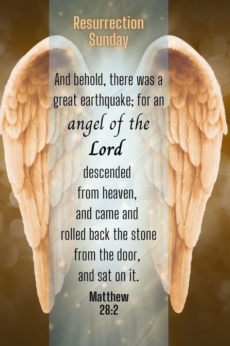 Resurrection Sunday; The stone is rolled away! Bible Verse Matthew 28:2 Resurrection Quotes Bible Verses, Resurrection Bible Verses, Resurrection Quotes, Sunday Bible Verse, Bible Verse Matthew, Encouraging Scriptures, Christian Board, Resurrection Sunday, Matthew 28