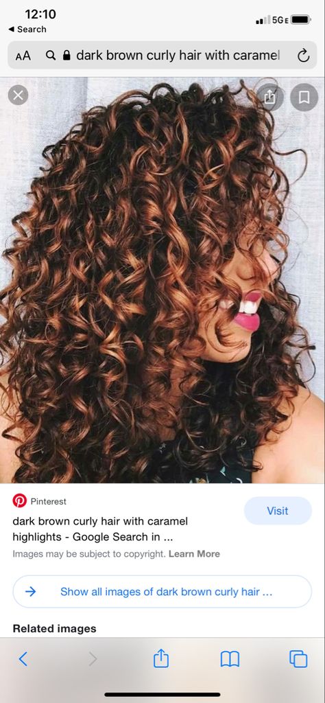 Copper Hair For Curly Hair, Curly Hilights Natural Hair, Red Highlights In Light Brown Hair Curly, Red Lowlights In Brown Hair Curly, Naturally Curly Hair Fall Color Ideas, Short Curly Hair Brown With Highlights, Copper Red Highlights Curly Hair, Curly Auburn Highlights, Short Curly Fall Hair Color