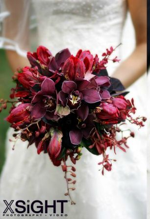 Tulips, Orchids, Big Bang Events    beautiful Red Orchid Bouquet, Dark Wedding Flowers, Dahlia Bridal Bouquet, Red And Purple Wedding, Dark Red Wedding, Purple Wedding Ideas, Red Orchid, Burgundy Bouquet, Red Bridesmaid