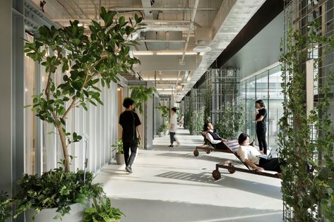 Gallery of Biophilic Offices: Landscape and the Working Environment - 28 Innovation Center, Schematic Design, Green Office, Innovation Centre, Green Design, Yokohama, Office Building, Public Space, Interior Design Trends