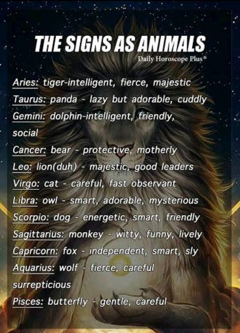 Zodiac Signs Animals, Zodiac Signs Pictures, Zodiac Animals, Horoscope Memes, Signs Astrology, Zodiac Sign Traits, Zodiac Stuff, Zodiac Society, Zodiac Traits