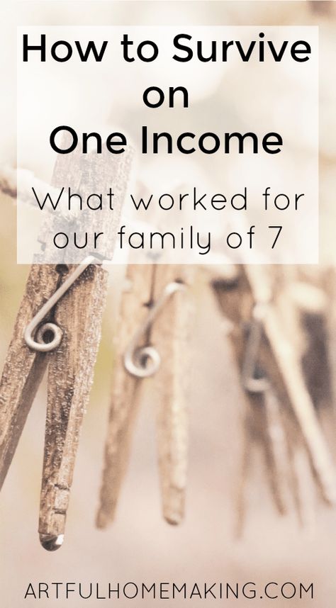 How to survive on one income. Frugal ideas and money-saving tips from a family of seven.  #frugalliving #frugal #savingmoney #oneincome #largefamily How To Save Food For Years, One Income Family Budget, Sahm Budget, Frugal Homemaking, One Income Family, Family Cloth, Appalachian People, Economic Terms, Family Of 7