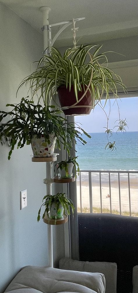 Can't take credit - followed directions from another Pin (search tension rod plant stand). Very easy. Covered up the conduit hanger clips with matching color electric tape and then macrame cord. Used a shelf bracket for my hanging plant. Pole Plant Stand, Diy Plant Hanger Easy, Plant Hanger Bracket, The Conduit, Pin Search, Living Room Plants, Diy Plant Hanger, Hanger Clips, Diy Plant Stand