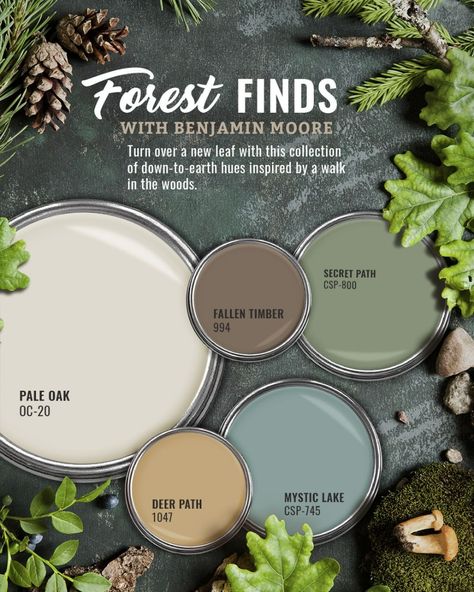 Forest Green Paint Color, Pale Oak, Paint Palettes, Paint Color Inspiration, House Color Palettes, Forest Color, Paint Color Schemes, Green Paint Colors, House Color Schemes