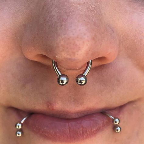 Fresh septum with a super shiny titanium horseshoe by @mollymaemoon paired lip piercings done at a seperate studio. . . #920tattoo #920tattoocompany #920 #920tattooco #downtownoshkosh #wi #wisconsin #foxvalleytattooing #uwo #uwoshkosh #foxvalleypiercing #foxvalleytattoo #foxvalley #invictusbodyjewelry #titaniumjewelry #titanium #piercings #piercer #piercing #jewelry #sparkles #mollymoon #mollymaemoon #piercingsbymollymaemoon #piercingsbymollymoon #invictusbodyjewelry Lip Piercings, Titanium Jewelry, Lip Piercing, Top Of The World, Piercing Jewelry, Nostril Hoop Ring, Body Jewelry, Wisconsin, Piercings