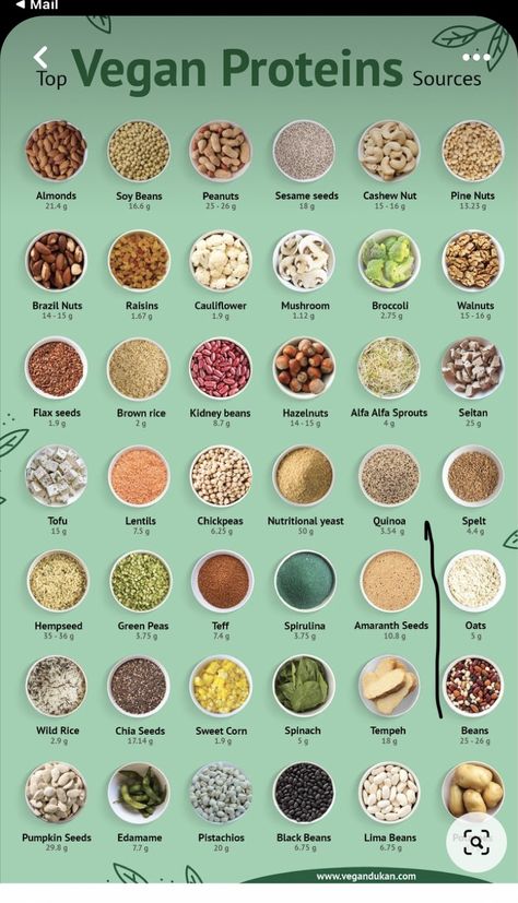 Vegan Protein Recipes, Vegan Protein Sources, High Protein Vegan Recipes, Vegan Meal Plans, Vegan Nutrition, Plant Based Meals, High Protein Vegan, Tasty Vegetarian Recipes, Vegan Protein