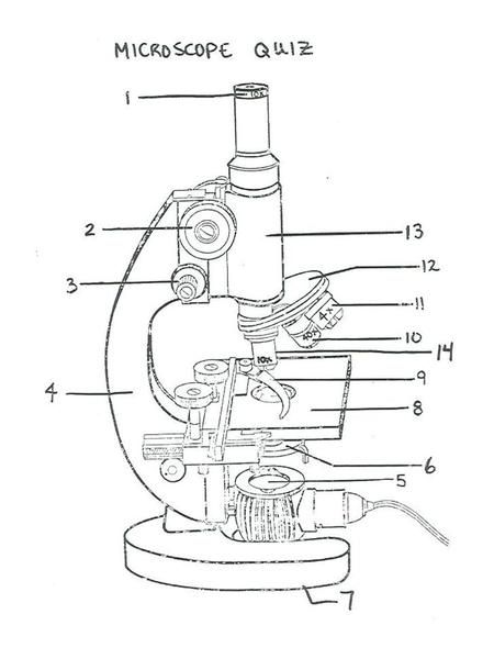 Microscope Parts and Functions 1.Eyepiece – the part you look through 2.Course Adjustment Knob – the large knob which, when turned, brings the image of.> Microscope Worksheet, Fractions Worksheets Grade 4, How To Use A Microscope, Simple Microscope, Compound Light Microscope, Microscope Parts And Functions, Labeled Microscope, Multi Step Equations Worksheets, Parts Of Microscope And Its Function