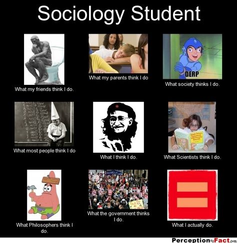 Sociology Student... - What people think I do, what I really do - Perception Vs Fact Sociology Quotes, Sociology Student, Sociology Theory, Sociology Major, Sociological Imagination, Forensic Anthropology, Formal Education, Social Science Research, University Studying