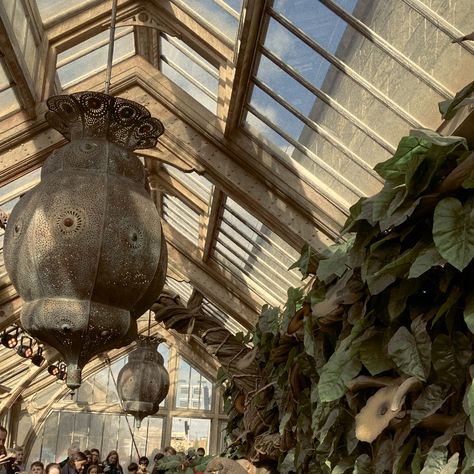 Harry Potter aesthetic Olivanders Aesthetic, Amos Diggory Aesthetic, Harry Potter Herbology Aesthetic, Hogwarts Herbology Aesthetic, Magizoologist Aesthetic, Wizarding Aesthetic, Herbarium Aesthetic, Hufflepuff Core, Ilvermorny Aesthetic