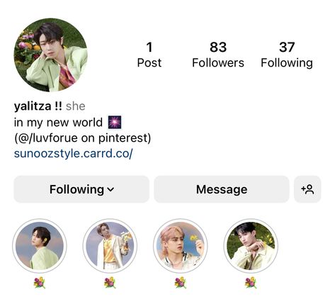 Seventeen Bio Ideas, Seventeen Username Ideas, World Seventeen, Seventeen World, Seventeen Instagram, Ig Bio, Instagram Layout, Ig Feed, Instagram Bio