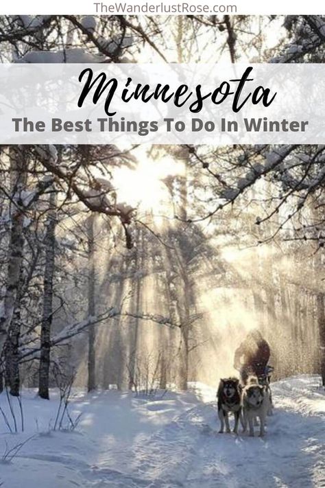 Things To Do In Minnesota, Minnesota Camping, Minnesota Winter, Group Trip, All Inclusive Trips, Winter Resort, Minnesota Travel, Grand Marais, Northern Minnesota