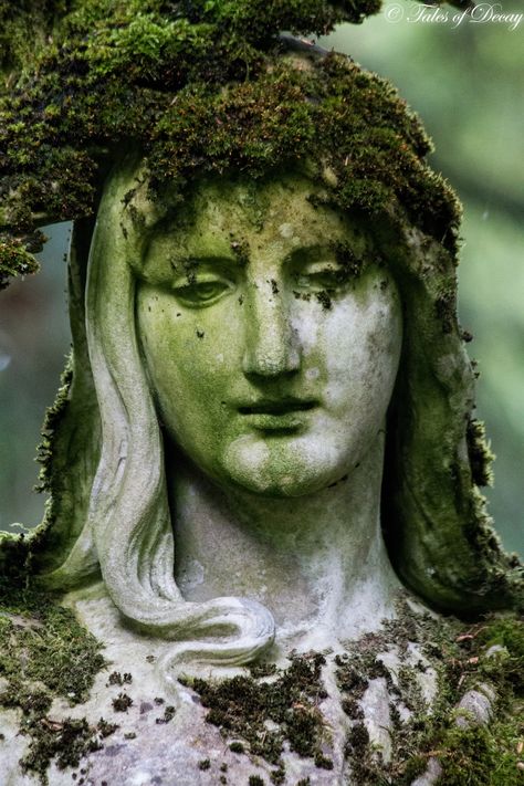 Overgrown Statue, Mossy Statue, Abandoned Statues, Moss Statue, Outdoor Museum, Living Statue, Growth And Decay, Ancient Statues, Cemetery Art