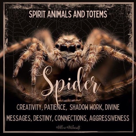 Spider Symbolism, Exhibition Activities, Spider Totem, Shadow Meaning, Witchy Names, Animal Totem Spirit Guides, Spirit Animal Meaning, Totem Animals, Animal Meanings