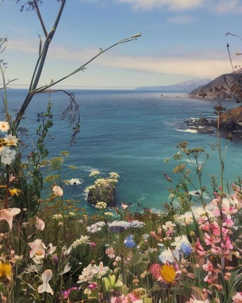 Cool Kids Never Sleep Big Sur Coastline, Moon Wallpaper, Vintage Floral Design, California Coastal, Never Sleep, Big Sur, Digital Wallpaper, In Bloom, Floral Wallpaper